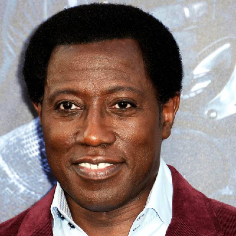 وسلی اسنایپس - Wesley Snipes