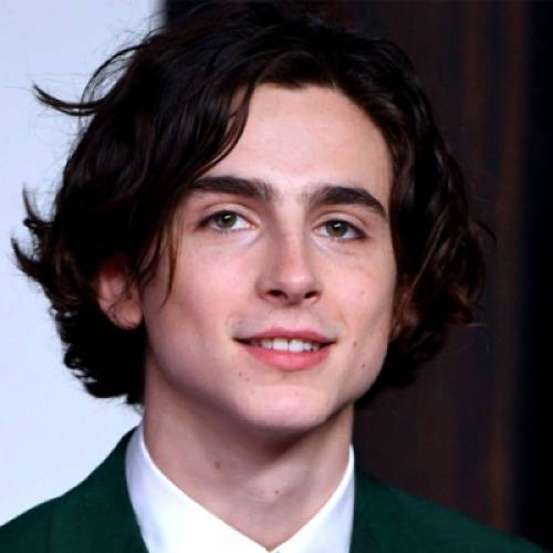 تیموتی شالامی - Timothee Chalamet