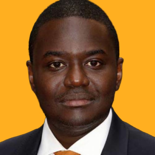 بابو سیسی - Babou Ceesay 