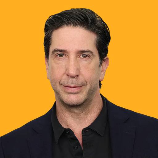 دیوید شویمر - David Schwimmer
