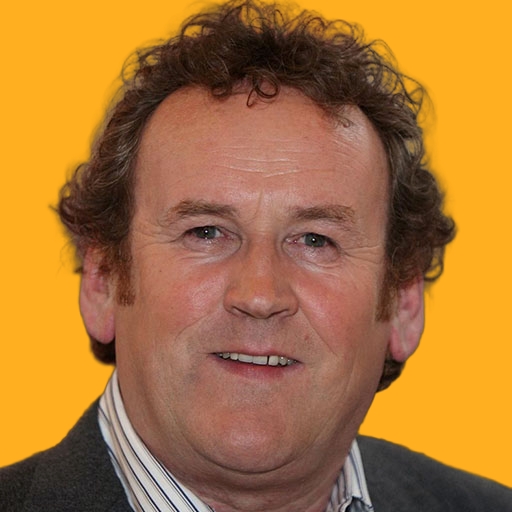 کالم مینی - Colm Meaney