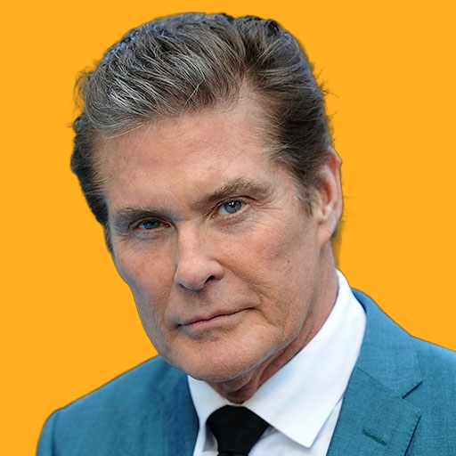 دیوید هسلهاف - David Hasselhoff