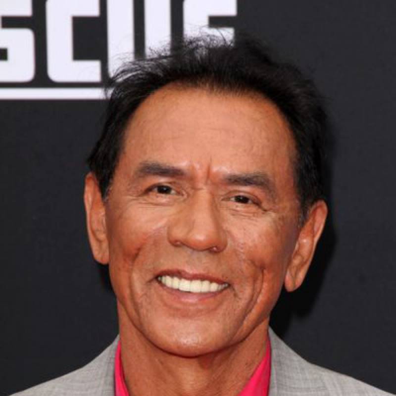 وس استودی - Wes Studi